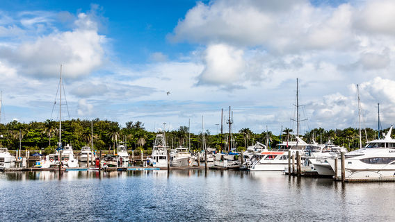Port Douglas