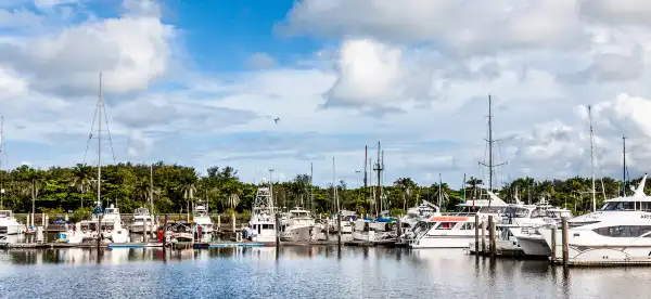 Pullman in Port Douglas