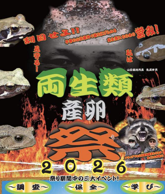 Amphibian Spawning Festival | Kitakyushu City