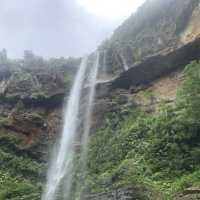 旅行 ｜ 西表島でカヌー体験