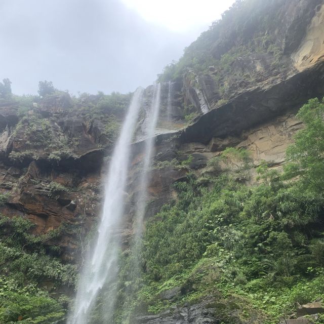 旅行 ｜ 西表島でカヌー体験