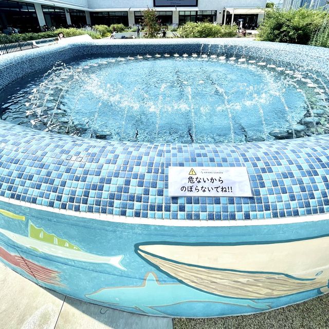 水のテラス