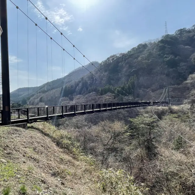 鬼怒楯岩大吊橋