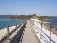 大埔 | 出走大尾篤｜漫步船灣淡水湖副壩