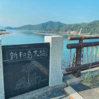 【高知】絶景！エメラルドグリーンの海