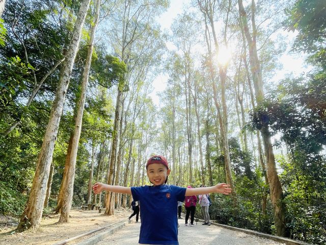入門級親子行山路線，城門水塘打卡熱點
