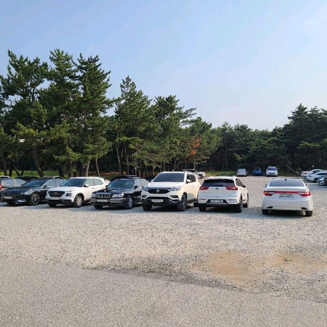 안목? 경포? 송정해변으로 오세요!!