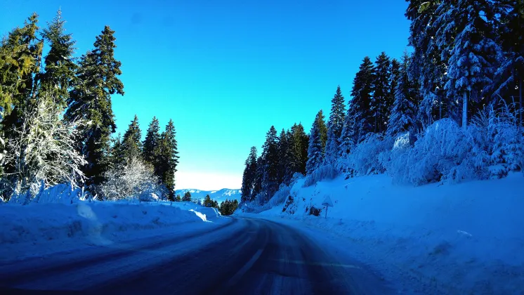 Xuexiang Jingbei Hotel