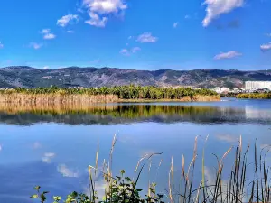 湖泉生態園