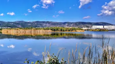 湖泉生態園