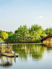 Парк водно-болотных угодий в Наньху