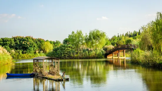 Nanhu Wetland Park