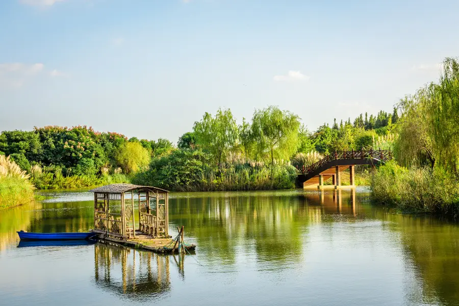 The Nanhu Wetland Park