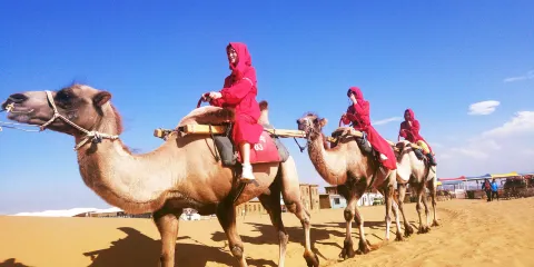 寧夏中衞沙坡頭·騰格裡沙漠·66號公路·純玩1日遊