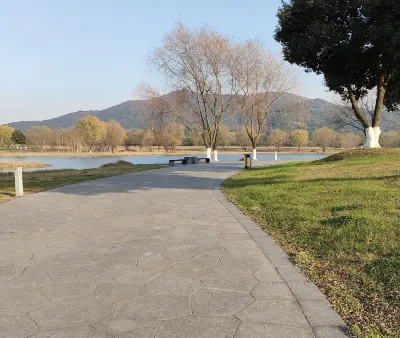 Vuelos a Lyon Pobeda