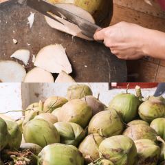Meng Da Da Coconut Chicken (Yalong Bay Forest Park Branch) User Photo