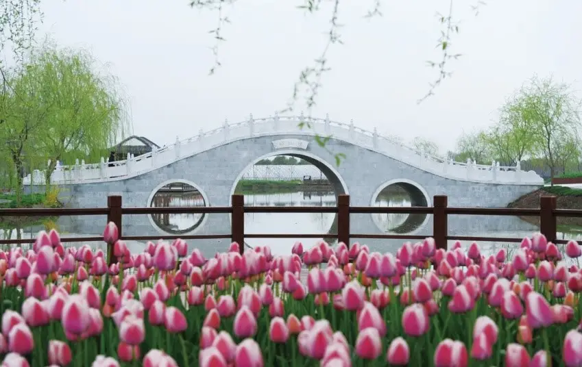 Dongxihu Tulip Theme Park