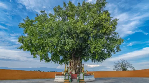 Mangshi travel destination