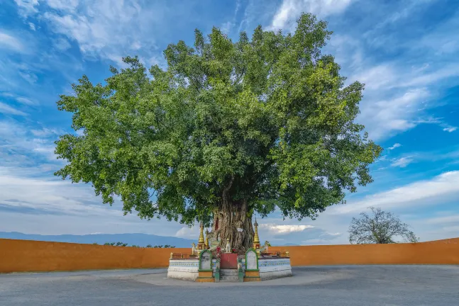 Vé máy bay đi Mang, Đức Hoành