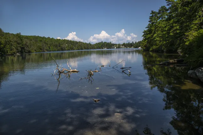 Отели с услугой бассейном в г. Штутгарт
