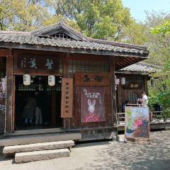 無邪張用戶圖片