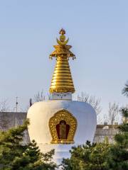 Bao'erhan Stupa