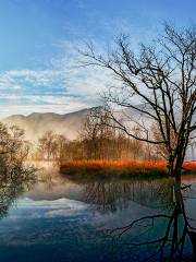 Dajiuhu National Wetland Park