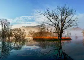 Dajiuhu National Wetland Park