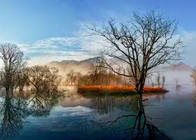 Национальный водно-болотный парк Большого Цзюньхуа
