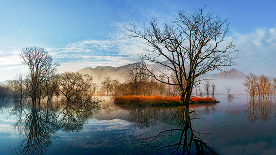 Dajiuhu National Wetland Park