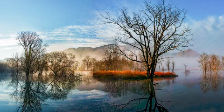 大九湖國家濕地公園