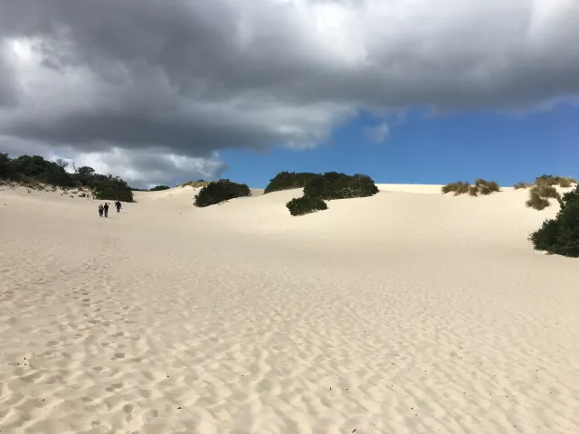 攻陷澳洲海陸空 帶你上天下海