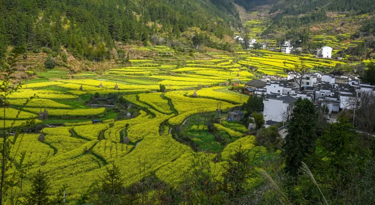 Hotel Hi Inn di Wuyuan