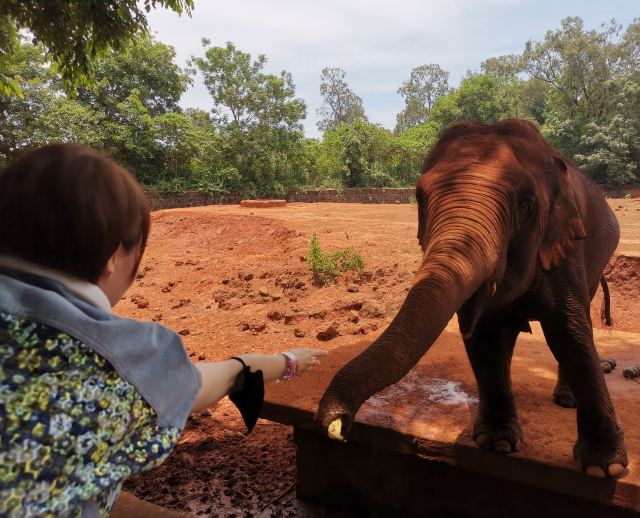 Hainan Tropical Wildlife Park