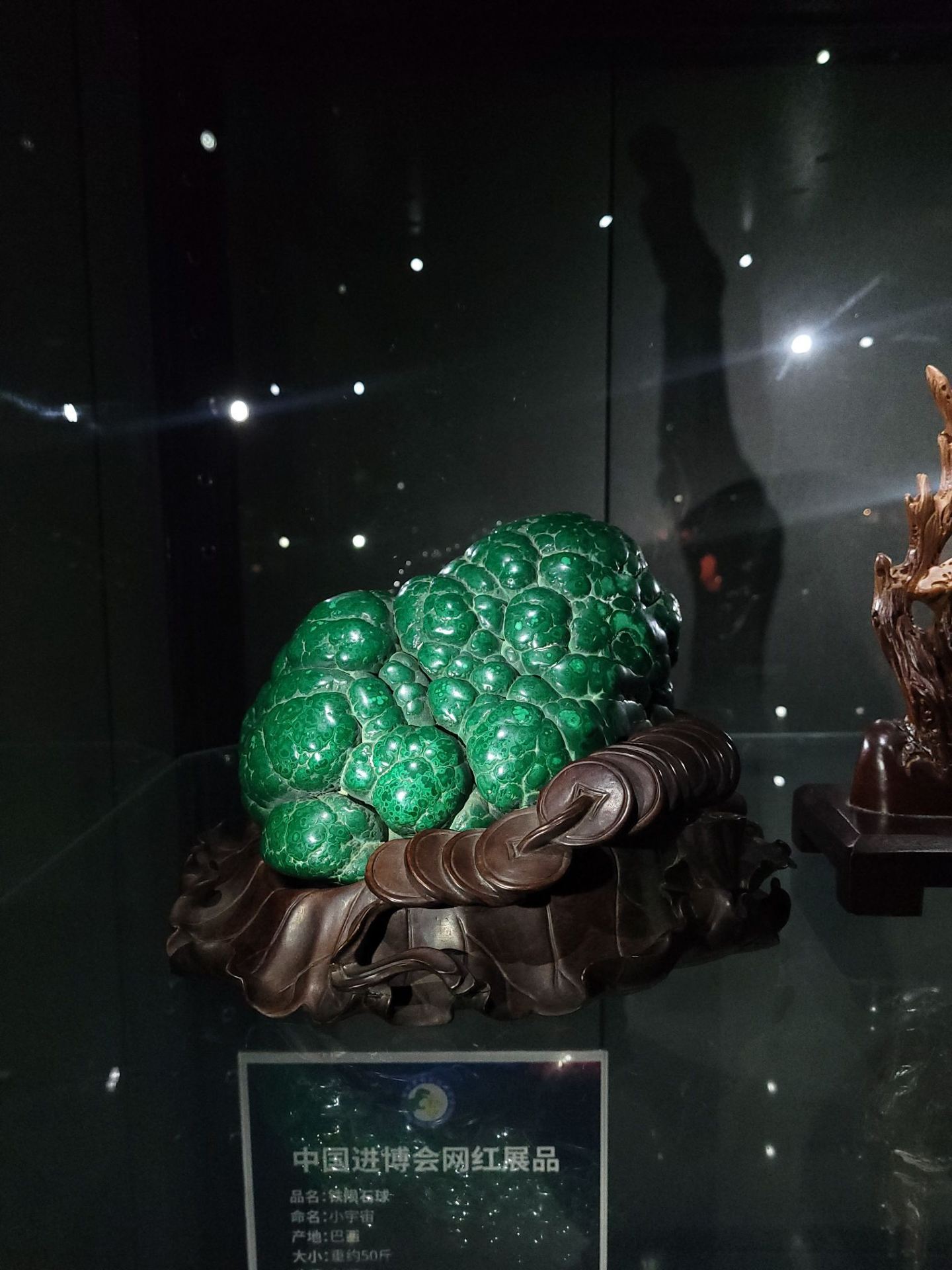 最新】Shanghai Crystalline Fossil Museum - チケット、営業時間 