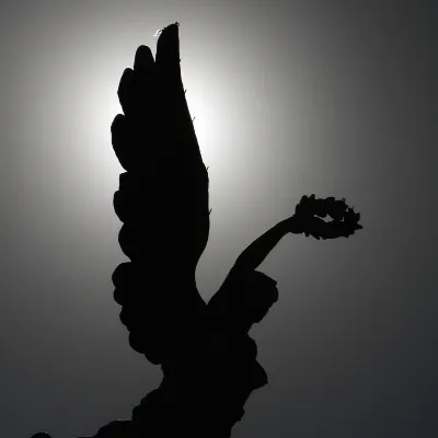 Отзывы об отеле Hotel de la Paz