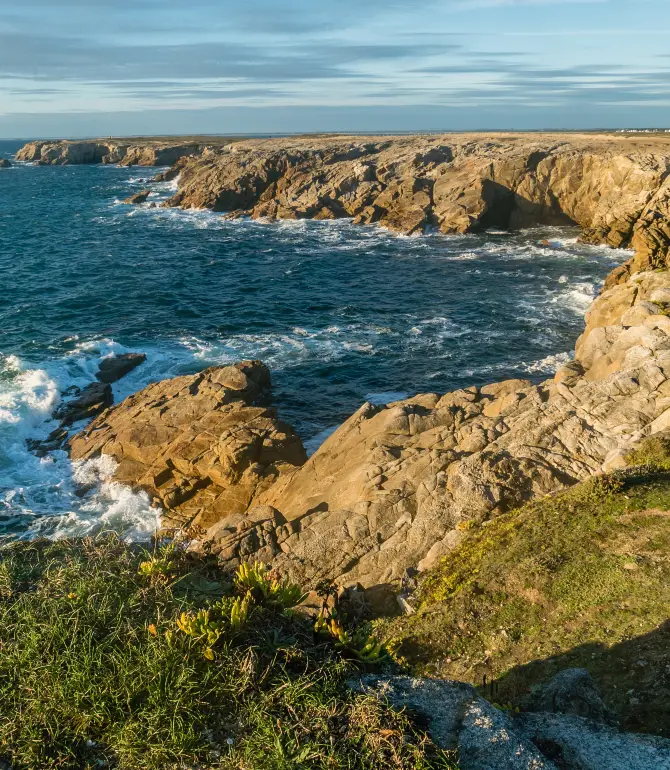 Wild Coast