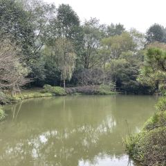 LONGJING MANOR User Photo