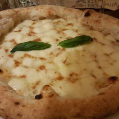 Pisola Sakai Izumi Kita User Photo