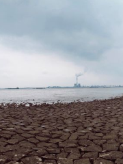 Dabodun Ecological Wetland Park