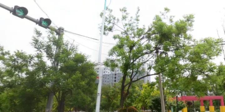 微山縣民生廣場