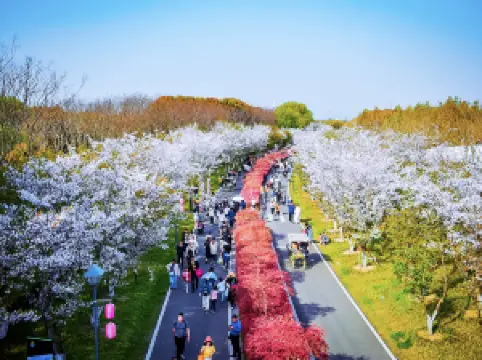 Dayangwan Ecological Tourism Scenic Area