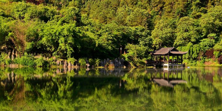 칭윈후 삼림공원