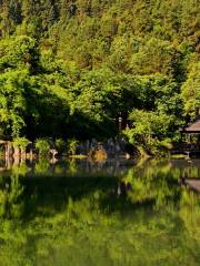 青雲湖森林公園