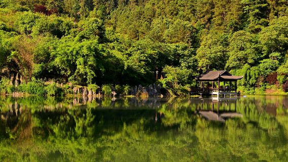 Qingyunhu Forest Park