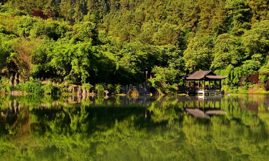 칭윈후 삼림공원 주변 호텔
