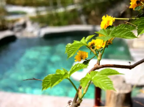 Fengshan Hot Spring Resort