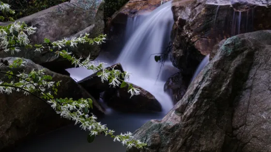 衡陽水濂洞景區