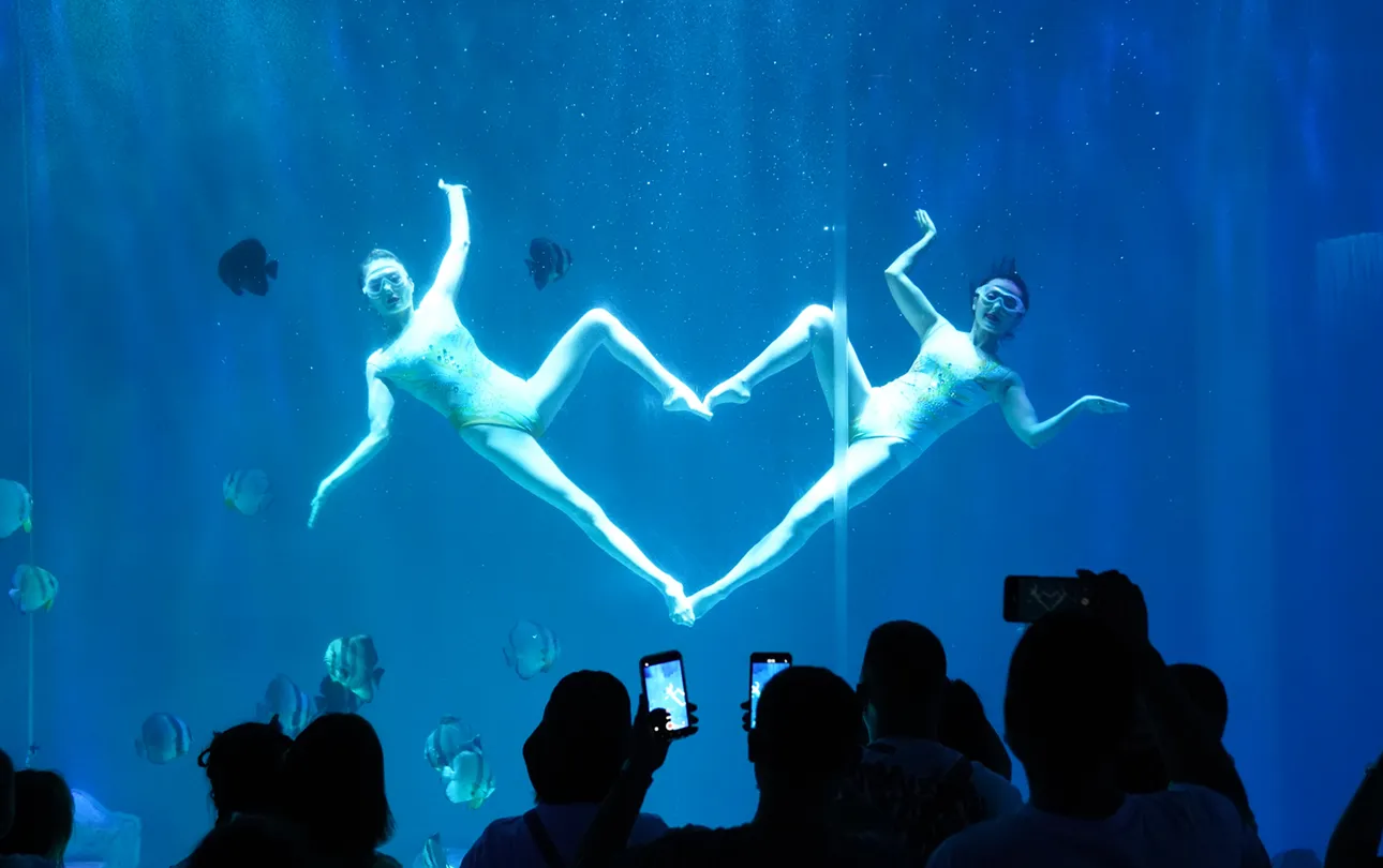 5_哈爾濱極地公園·海洋館