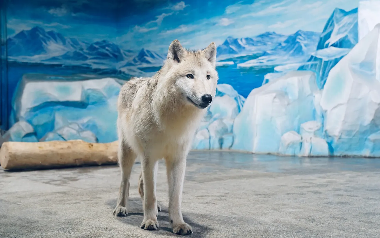 5_Harbin Polarland·Polarland